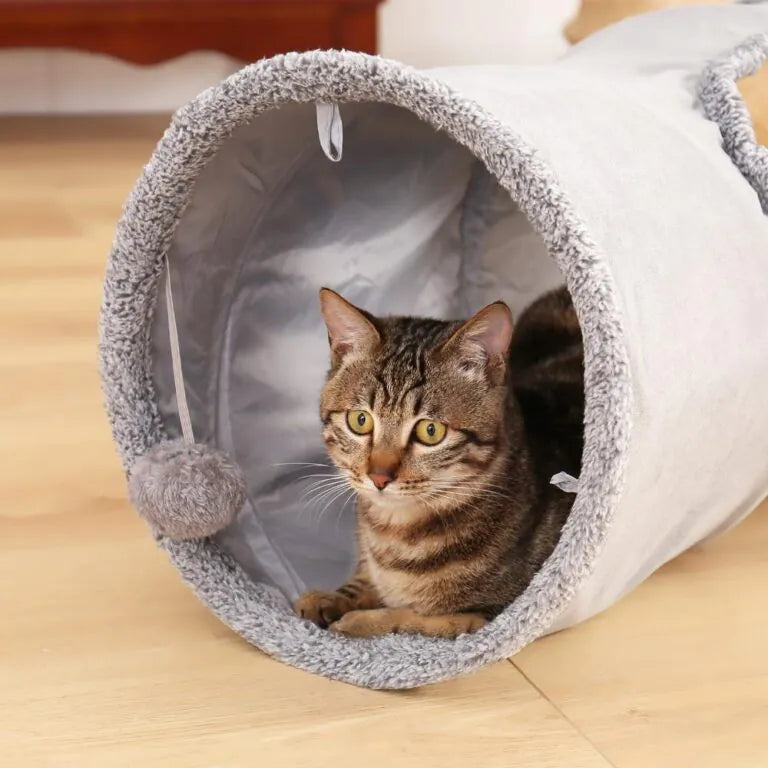 Túnel 2 buracos para treinamento Brinquedo para Gatos